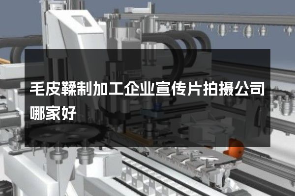 毛皮鞣制加工企业宣传片拍摄公司哪家好