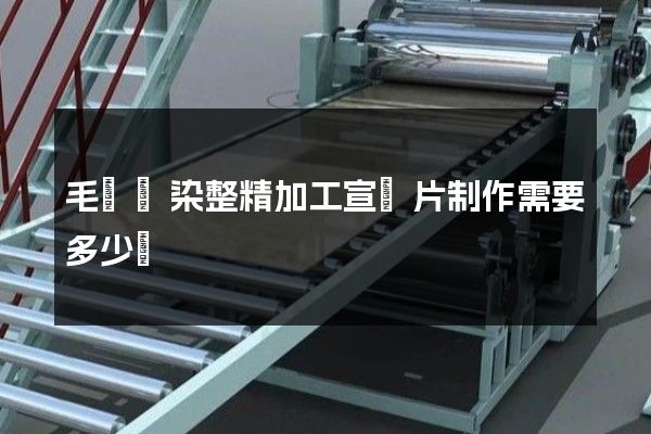 毛紡織染整精加工宣傳片制作需要多少錢