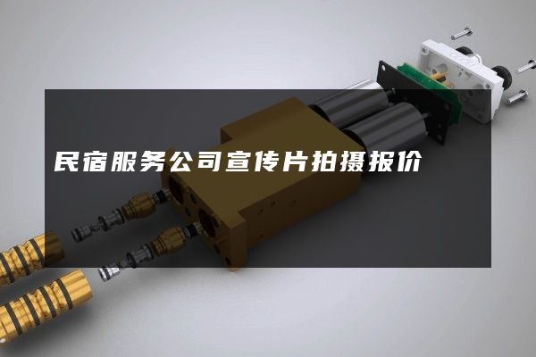 民宿服务公司宣传片拍摄报价