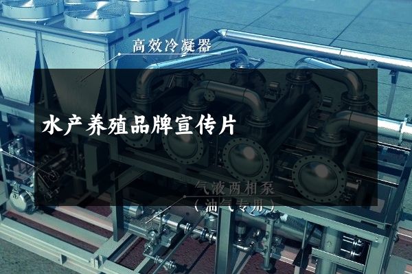 水产养殖品牌宣传片