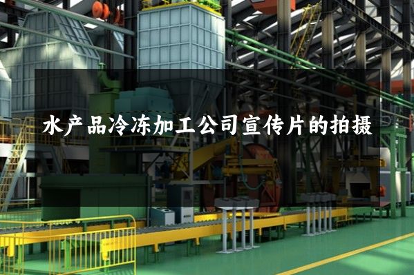 水产品冷冻加工公司宣传片的拍摄