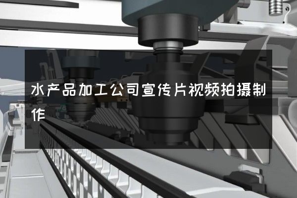 水产品加工公司宣传片视频拍摄制作