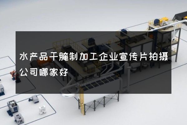 水产品干腌制加工企业宣传片拍摄公司哪家好