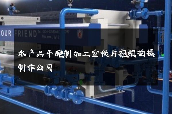 水产品干腌制加工宣传片视频拍摄制作公司