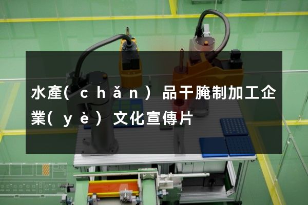 水產(chǎn)品干腌制加工企業(yè)文化宣傳片