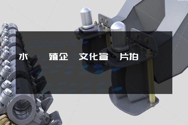 水產養殖企業文化宣傳片拍攝
