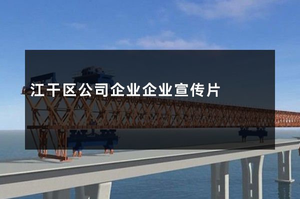 江干区公司企业企业宣传片