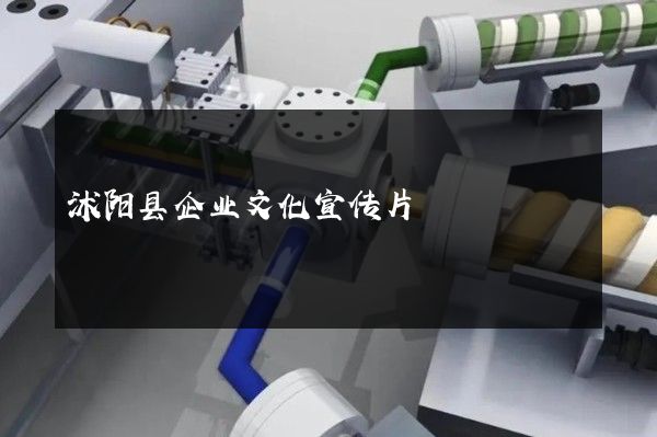 沭阳县企业文化宣传片