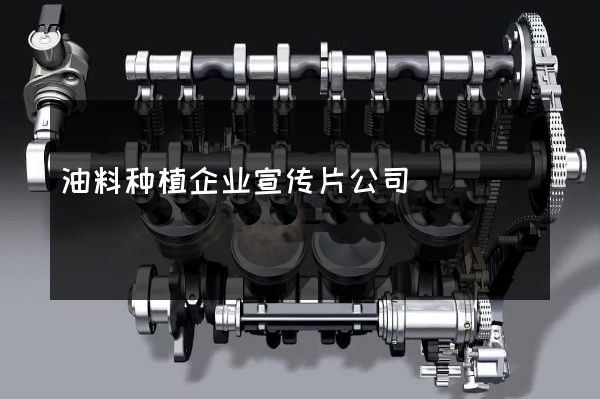 油料种植企业宣传片公司