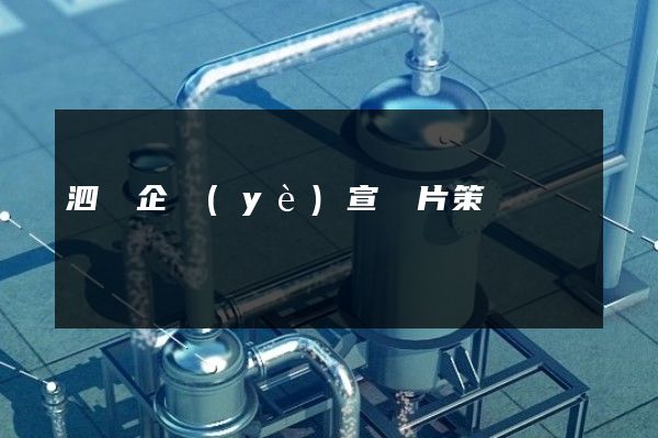 泗縣企業(yè)宣傳片策劃