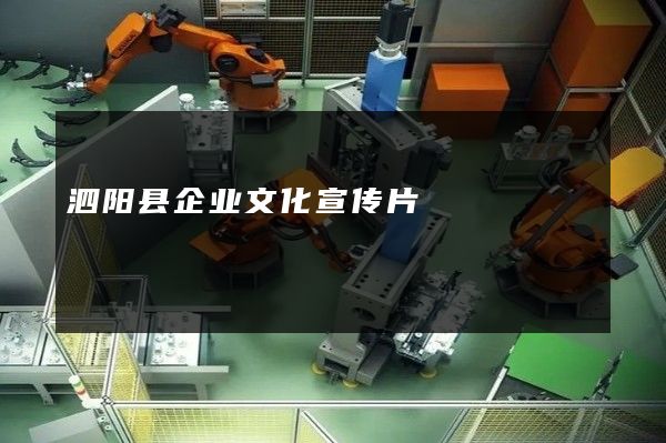 泗阳县企业文化宣传片