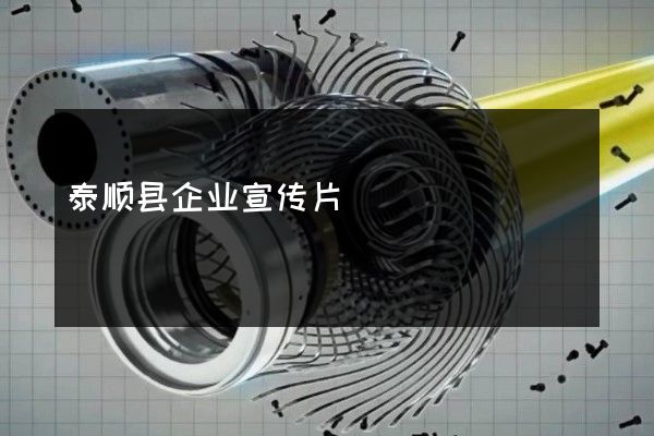 泰顺县企业宣传片