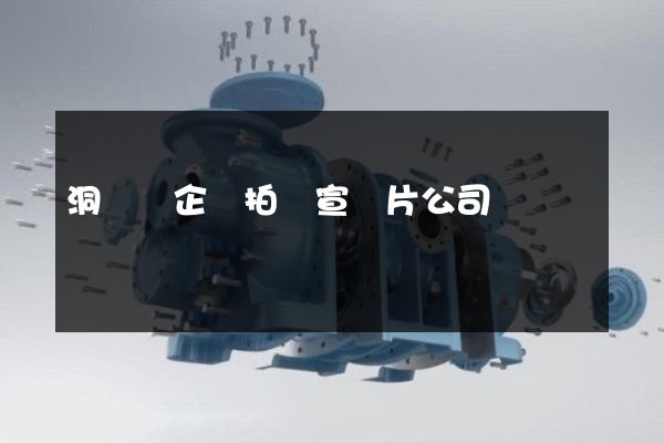 洞頭縣企業拍攝宣傳片公司