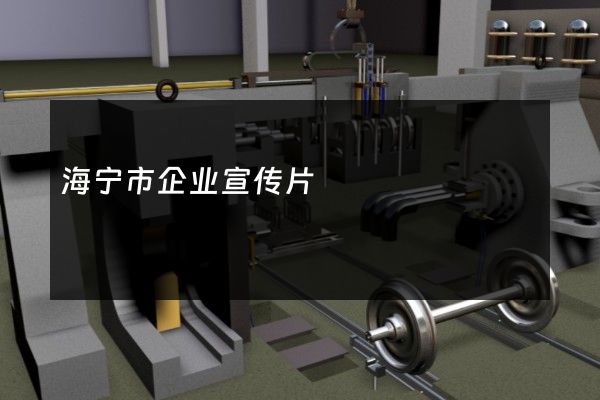 海宁市企业宣传片