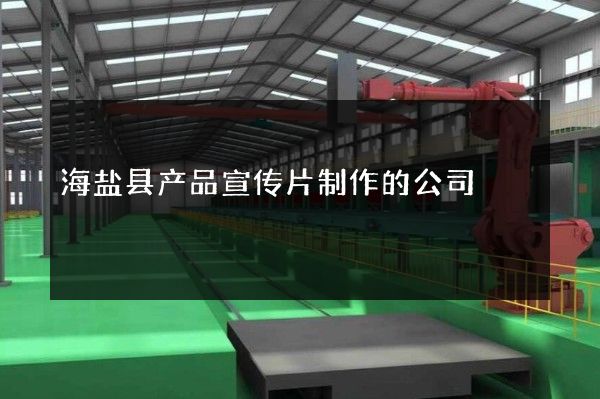 海盐县产品宣传片制作的公司