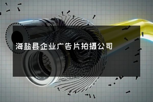 海盐县企业广告片拍摄公司
