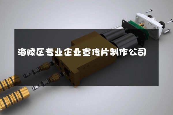 海陵区专业企业宣传片制作公司