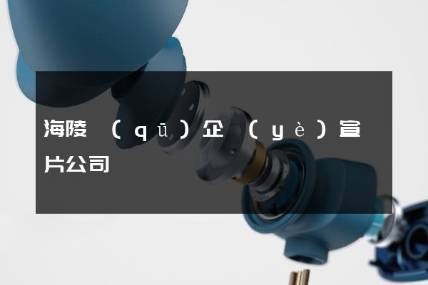 海陵區(qū)企業(yè)宣傳片公司