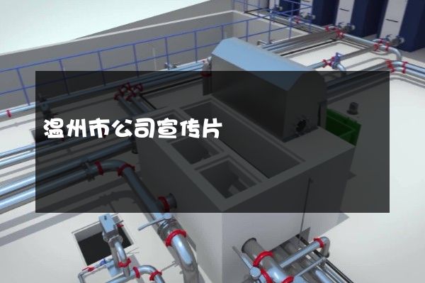 温州市公司宣传片