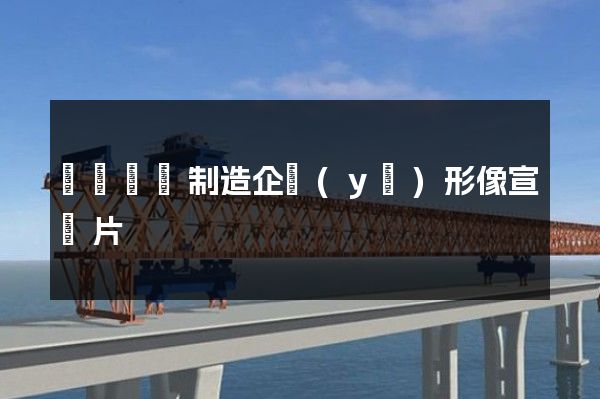 滌綸纖維制造企業(yè)形像宣傳片
