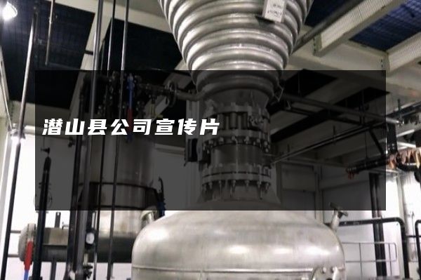 潜山县公司宣传片