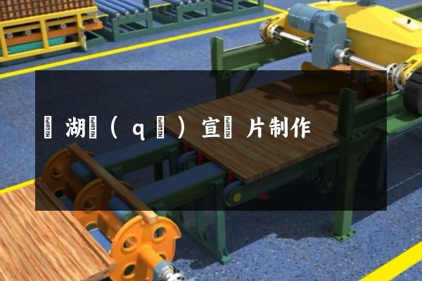 濱湖區(qū)宣傳片制作