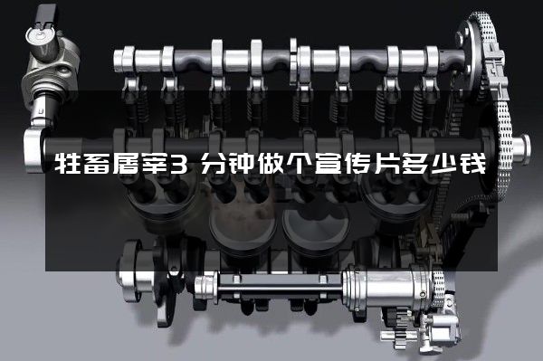 牲畜屠宰3分钟做个宣传片多少钱