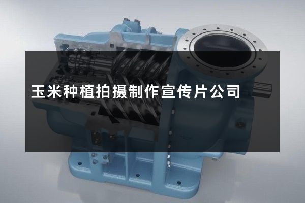 玉米种植拍摄制作宣传片公司