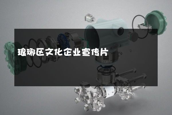 琅琊区文化企业宣传片