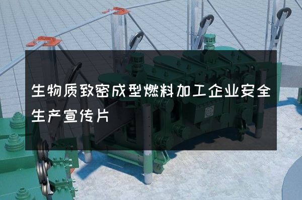 生物质致密成型燃料加工企业安全生产宣传片