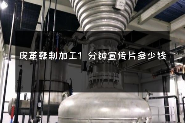 皮革鞣制加工1分钟宣传片多少钱