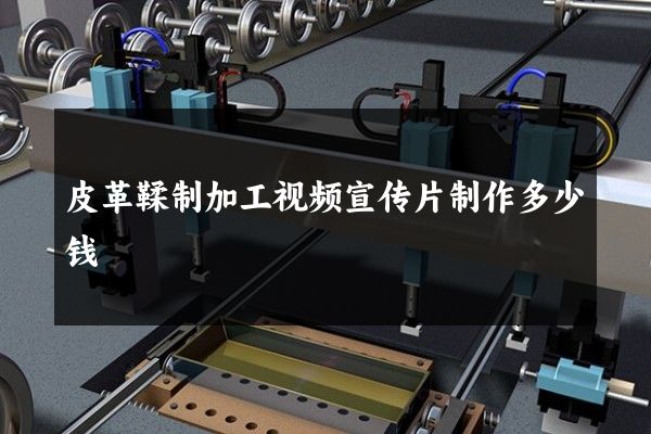 皮革鞣制加工视频宣传片制作多少钱