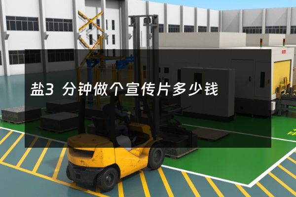 盐3分钟做个宣传片多少钱