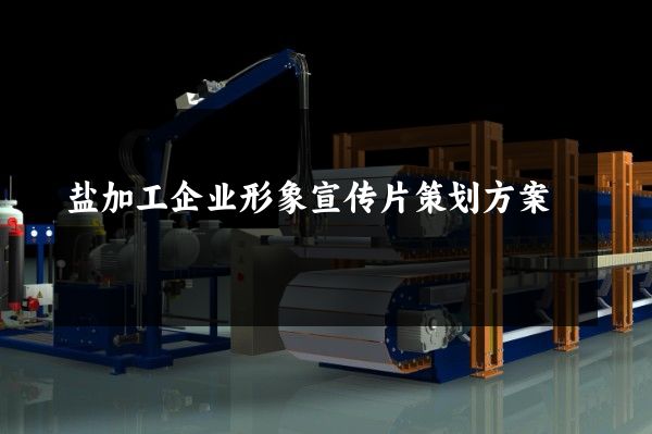 盐加工企业形象宣传片策划方案