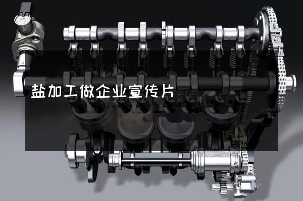 盐加工做企业宣传片