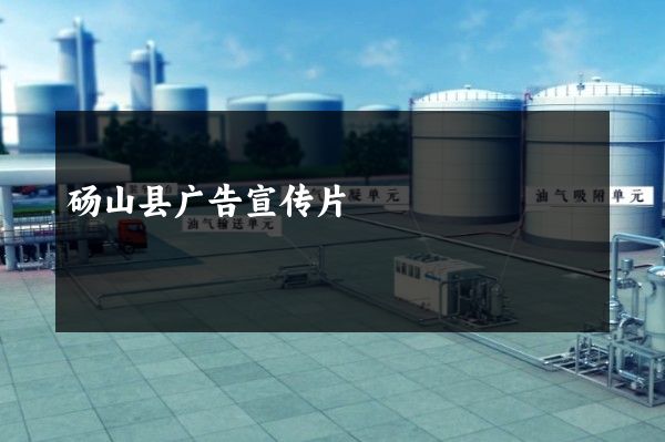 砀山县广告宣传片