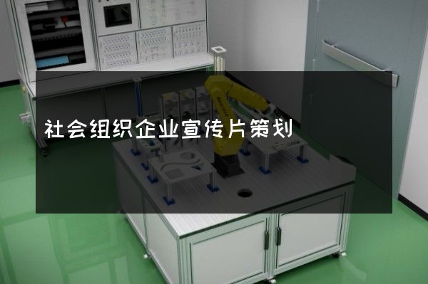 社会组织企业宣传片策划