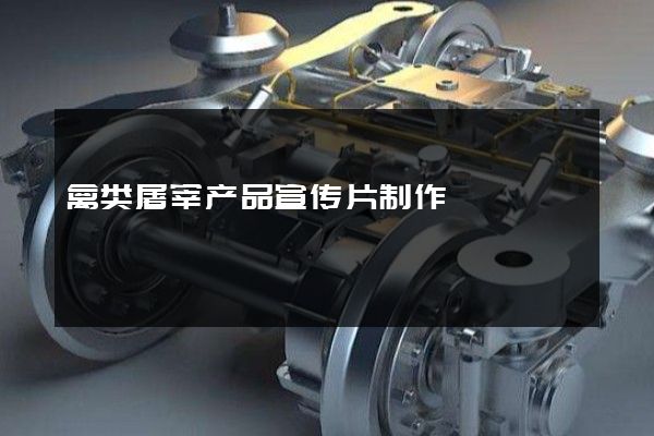 禽类屠宰产品宣传片制作