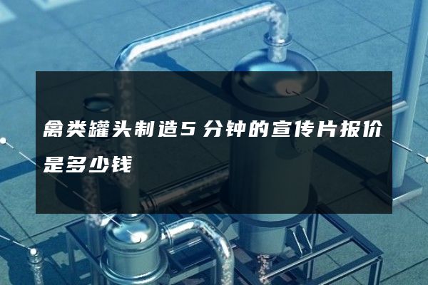 禽类罐头制造5分钟的宣传片报价是多少钱