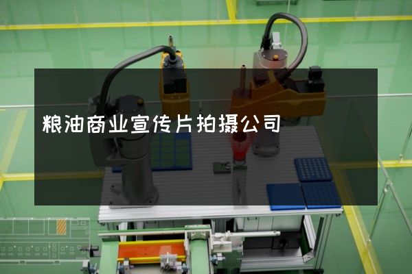 粮油商业宣传片拍摄公司