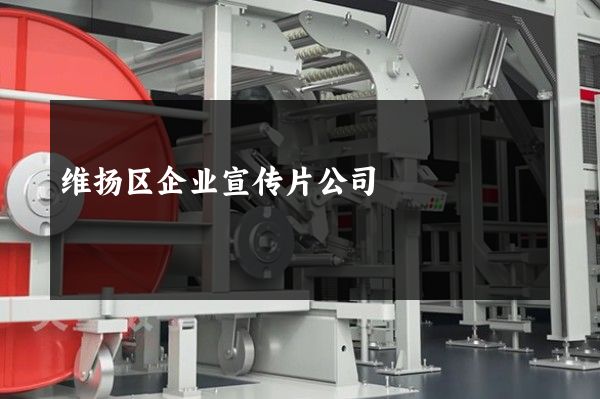 维扬区企业宣传片公司