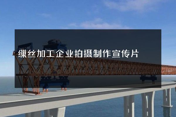 缫丝加工企业拍摄制作宣传片