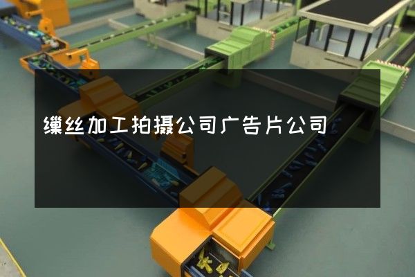 缫丝加工拍摄公司广告片公司