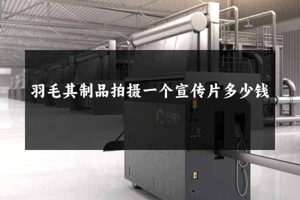 羽毛其制品拍摄一个宣传片多少钱 羽毛其制品拍摄一个宣传片多少钱