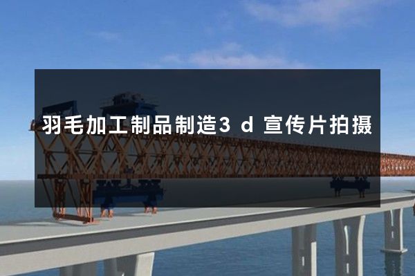 羽毛加工制品制造3d宣传片拍摄