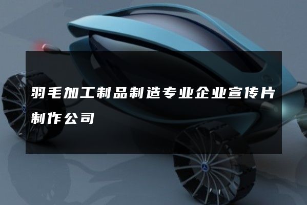 羽毛加工制品制造专业企业宣传片制作公司