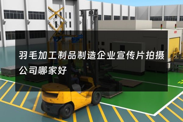 羽毛加工制品制造企业宣传片拍摄公司哪家好
