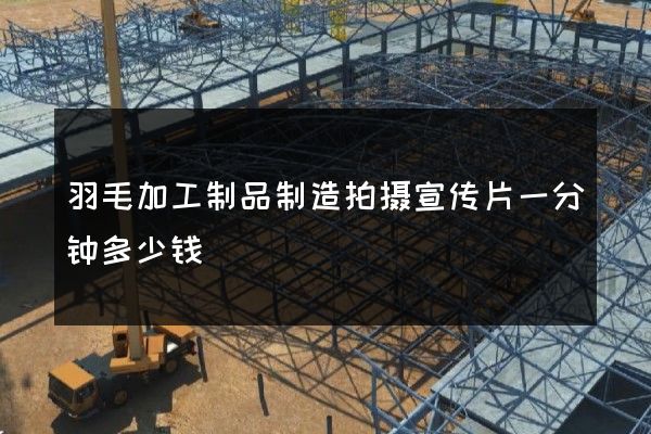 羽毛加工制品制造拍摄宣传片一分钟多少钱