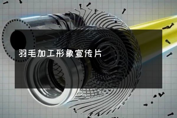 羽毛加工形象宣传片