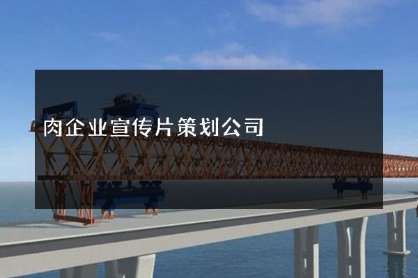 肉企业宣传片策划公司